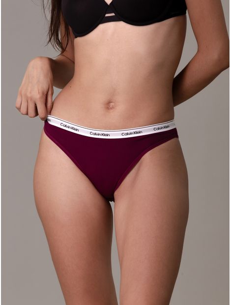 Pantys-clasicas---Modern-Logo