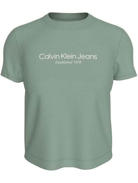 Camiseta-regular-con-logo-institutional